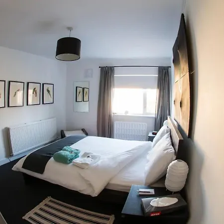 6 Rathgar Easy Access To Downtown 公寓 都柏林